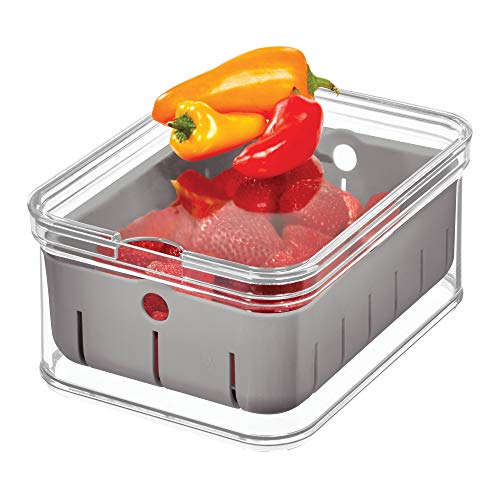 iDesign Crisp Box, Unit Crafted from Food-Safe Plastic, Fridge Storage Organiser for Snacks, Produce, Grey, Clear, Gray, 21.13/16.05/9.55 cm