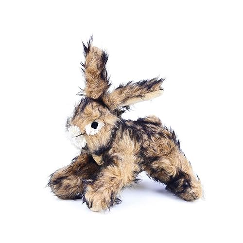 Loigohon XNvʂ o邨 ނ ӂӂ ETMfUC ^p