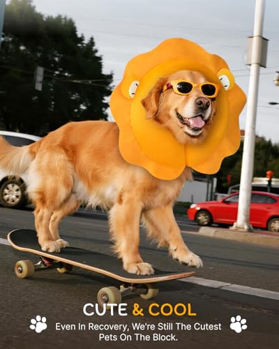 Image of MIDOG Inflatable Dog Cone, Lion Mane Recovery Collar, Medium