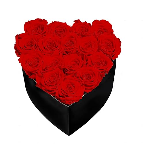ENSES LOYUFE Caja de rosas preservadas, 18 rosas reales con caja en forma de corazón, rosa eterna que dura de 3 a 5 años, para el día de la madre, San Valentín, cumpleaños, decoración de fiesta (rojo)