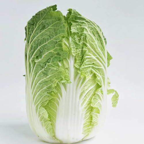 pak choi - semillas camas elevadas para jardín semillas de variedades antiguas jardín balcón interior balcón 400pcs