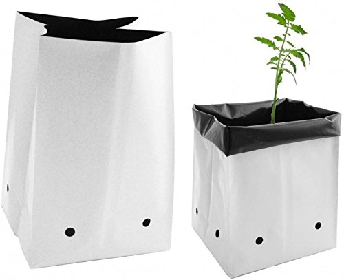 Agritech UV Stabilized Poly Growbag 5 (24 cm x 24 cm x 40 cm) Kerala Agro Organics (5)-image-12