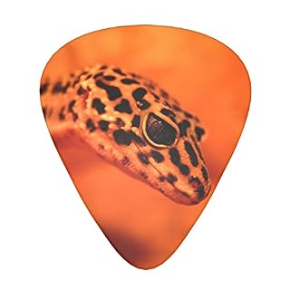 Ensemble de 12 médiators de guitare Leopard Little Gecko pour guitare acoustique, guitare électrique, contrebasse… - Les Beatles, Paul McCartney, John Lennon, RIngo Starr, George Harrison
