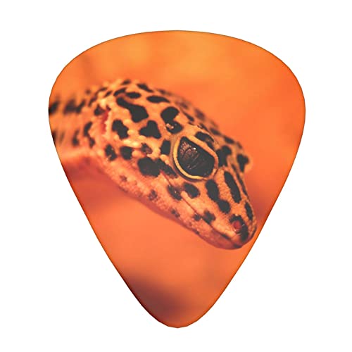 Ensemble de 12 médiators de guitare Leopard Little Gecko pour guitare acoustique, guitare électrique, contrebasse… - Les Beatles, Paul McCartney, John Lennon, RIngo Starr, George Harrison Ensemble de 12 médiators de guitare Leopard Little Gecko pour guitare acoustique, guitare électrique, contrebasse…