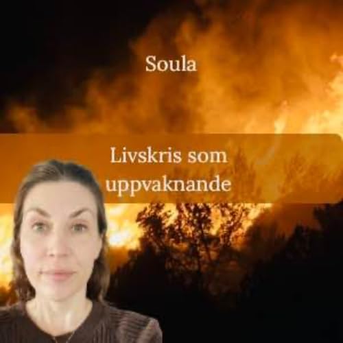 N&auml;r allt faller is&auml;r och varf&ouml;r det ibland beh&ouml;vs - Livskris som uppvaknande