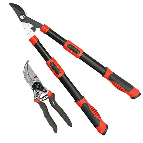 Tijeras De Podar Sinonimo
