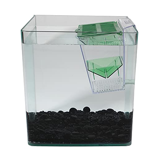 Penn-Plax Breed And Show Nursery Fish Tank #TOP2