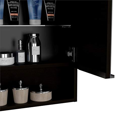 TUHOME Jaspe Mirror Engineered Wood Medicine in Black