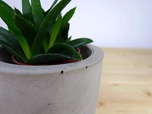 Concrete Planter Mold Concrete Flower P Buy Online In Gibraltar At Desertcart