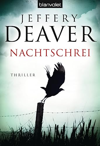 Nachtschrei: Thriller [German] 3442374715 Book Cover