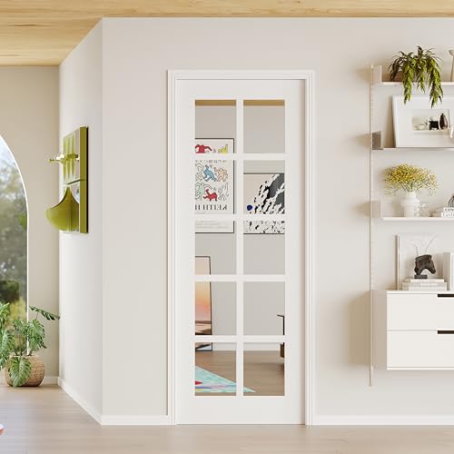 Lakenyon 10-Lite Mirrored Interior Door, 30 in. x 80 in.,...