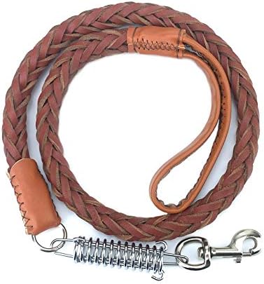 collare d'urto per cani di piccola taglia