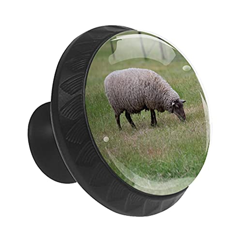 Boutons de tiroir mouton pour relooker facilement une commode usée - 3