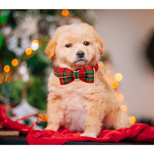 Lionheart glory Weihnachten kariert Hundehalsband, Hundeschleife Halsband Adjustable Comfortable Bowtie Halsbänder für kleine Hunde Mädchen oder Jungen Fall Kragen Hund Schleife