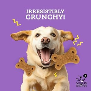 Wags & Wiggles Simmer Down Calming Treats for Dogs, Chicken Flavor, 5.5 oz Resealable Bag | Helps Maintain Relaxation | Functional Treats for Dogs with Lavender and Chamomile Wags Wiggles Simmer Down Calming Treats for Dogs Chicken Flavor 55 oz Resealable Bag Helps Maintain Relaxation Functional Treats for Dogs with Lavender and Chamomile