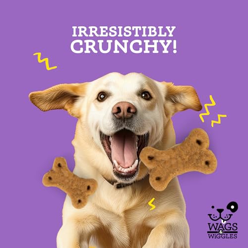 Wags-Wiggles-Simmer-Down-Calming-Treats-for-Dogs-Chicken-Flavor-55-oz-Resealable-Bag-Helps-Maintain-Relaxation-Functional-Treats-for-Dogs-with-Lavender-and-Chamomile Wags Wiggles Simmer Down Calming Treats for Dogs Chicken Flavor 55 oz Resealable Bag Helps Maintain Relaxation Functional Treats for Dogs with Lavender and Chamomile