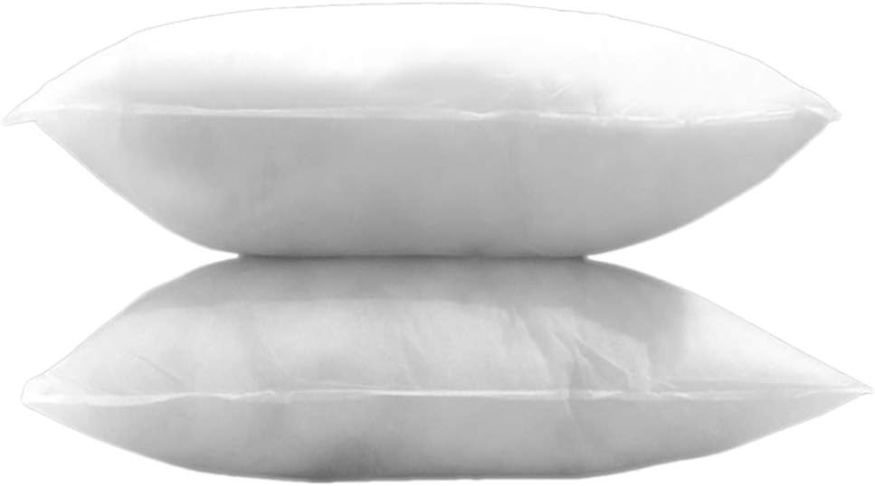 Set of 4 Soft Throw Pillow Inserts Square Sham Form Stuffer Decorative Pillow 20" L x 20" W Standard/White 4 Decor for Home