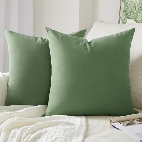 Topfinel Juego de 2 Cojines Fundas Decorativa Terciopelo Hogar para Almohadas Fundas Comodo para Cama Sofás Silla Sala de Estar Dormitorio Sala de Estudio Jardín Coche 45x45cm Salvia Verde