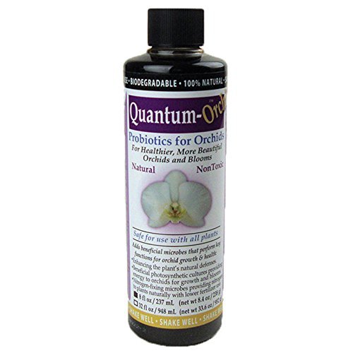 - Quantum Orchid - 8 Ounce Bottle