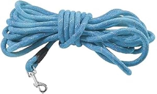 Laisse chien robuste Bobby Walk pour stopper les tractions - 2