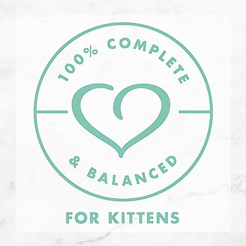 Purina-Fancy-Feast-Grain-Free-Pate-Wet-Kitten-Food-Variety-Pack-Kitten-Classic-Pate-Collection-4-Flavors-24-3-oz-Boxes