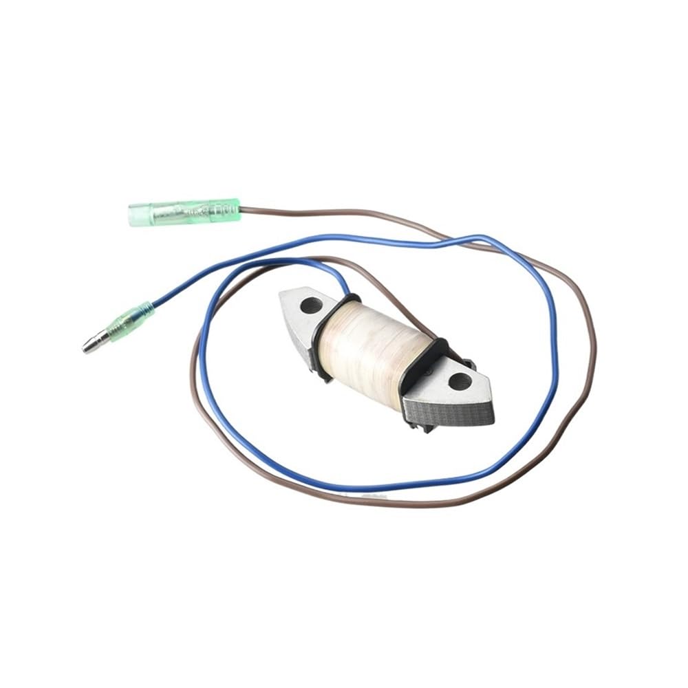 Bobine pour moteur de bateau hors-bord 25-30 CV balade en mer