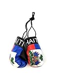 Red Hat Ent Haiti Mini Hanging Boxing Gloves for Car Mirror