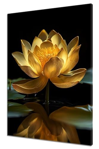 G Lbg diy  G [^X hG l qǂ LbghG thDIY_ChA[gyCgG ߃Mtg|  H| Lbg |ph fW^G G CeA Ǐ (30x40cm,