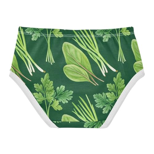 Fresh Green Herbs Parsley Vegetable Girls Underwear Toddlers 2t Cotton Panties for Girl Bright Underpants Briefs2