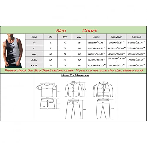 Oicib Tank Tops Men, Mens 3D Tank Top Novelty Graphic Breathable Quick Dry Sleeveless Beach Shirt M-3Xl #TOP6