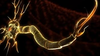 【DVD】リコネクション〜エッセンス・オブ・ヒーリング　エリック・パール DVD】リコネクション〜エッセンス・オブ・ヒーリング エリック