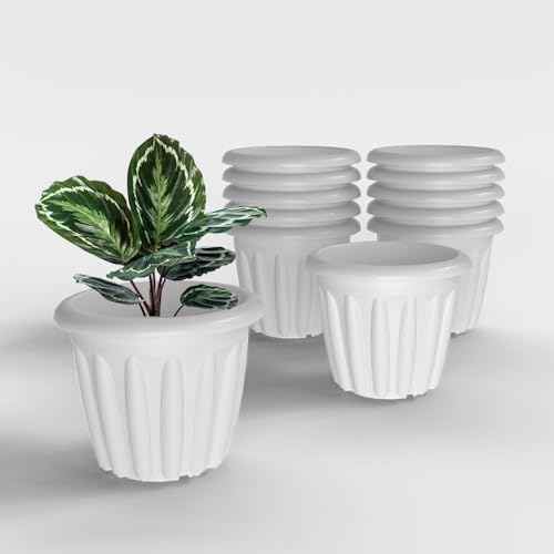 Image of YUCCABE ITALIA SHERA Floot 8 Inch Plastic Flower Pot 12 Piece Set of Round Shape Planter for Home Garden Seedling Planter for pots (White)