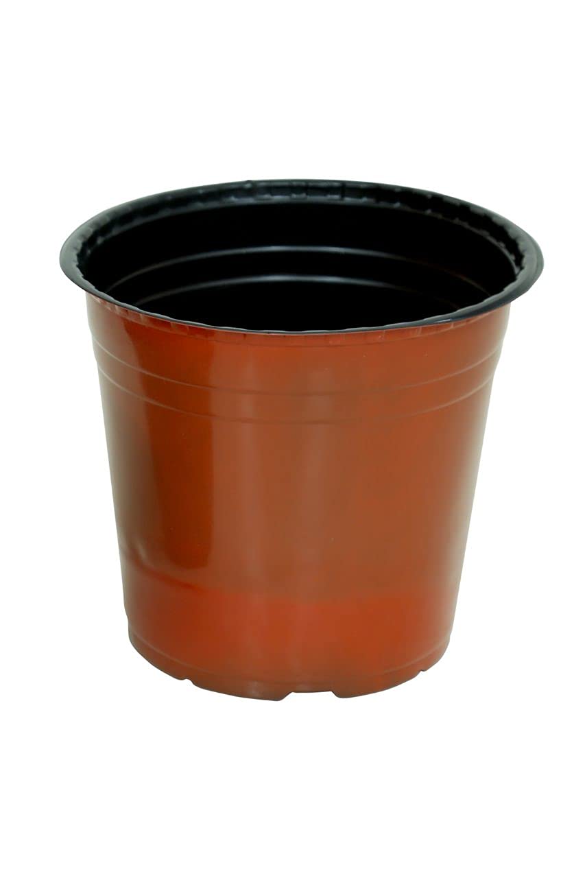 A SARO Gardening TF Flower POTS 8 Inch, 25 Pcs Brown Color (B09JWPBX2G) Amazon Price History, Amazon Price Tracker