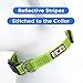 Pawtitas Reflective Green Puppy or Dog Collar, Large