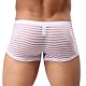 Faringoto Herren Boxershorts Höschen Mesh Sheer Streifen Unterwäsche Sexy Transparent Unterhose, Weiss/opulenter Garten, Large