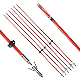 TIGER ARCHERY 34inch Bowfishing Arrows Solid Fiberglass Shaft with Broadhead for Compound Bow and Recurve Bow Fishing Arrow Archery and Hunting (Pack of 6) (Red)