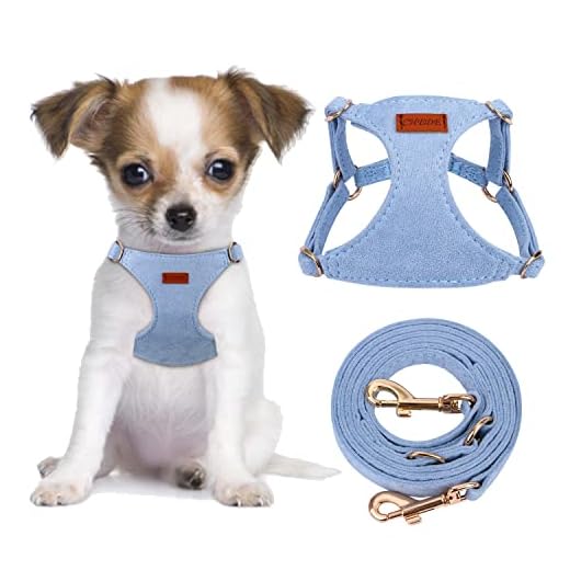 CHEDE No Pull Puppy Harness and Multifunction Dog Leash Set- 8 Colors Soft Adjustable No Choke Escape Proof Cute,Lightweight Pet Vest Harness for Small and Medium Dog (XXS, Blue)