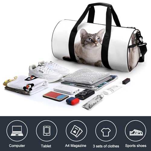 Sac de voyage Fat Cat idéal pour compartimenter la gym - 4