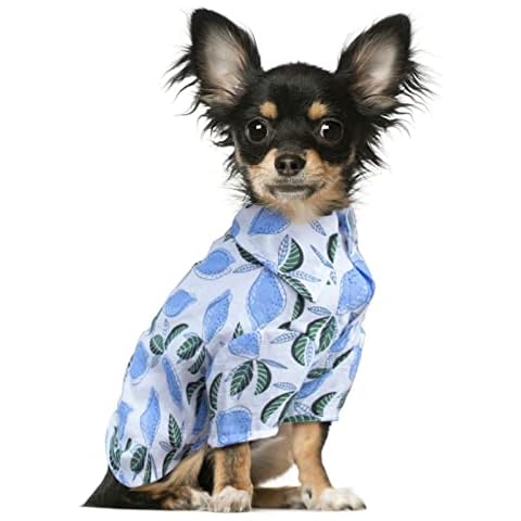 SZAT PRO Teacup Dog Hawaiian Shirts, Hawaii Style Summer T-Shirts for Small Dogs and Cats, Printed Hawaiian Dog Apparel Suit for Puppy Boys Fruit Blue Lemon XXXSmall Cover