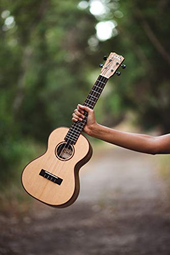 Cordoba 24T Spruce Tenor Ukulele, 24 Series #TOP7