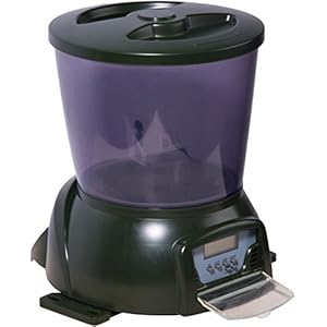 dobar® Teich-Fischfutterautomat – Programmierbarer Fisch-Futterspender mit LCD-Anzeige für draußen – Automatischer Fish Feeder – 22 x 22,5 x 26,5 cm – Grün