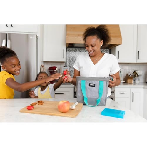 Image of Igloo Maxcold Small Ice Block, 2-Pack, Blue