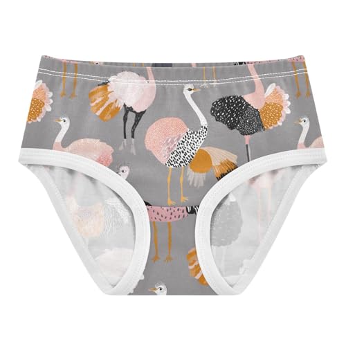 Wusikd Cartoon Geese Girls' Underwear Cotton Girls Briefs Soft Toddler Underwear 2T