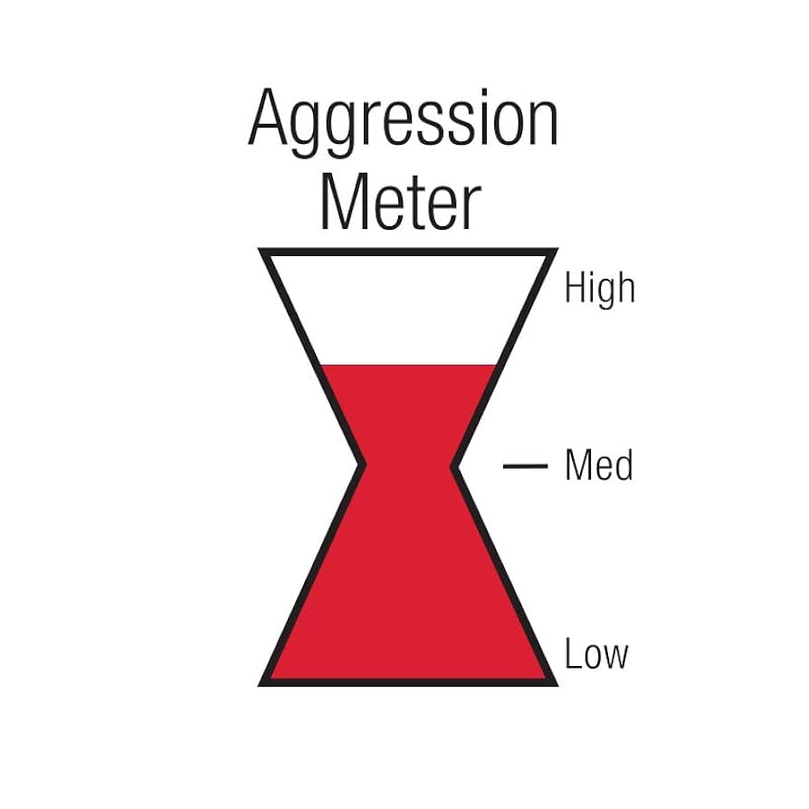 BLACK WIDOW ウレタン Amazon | Black Widow Exhaust Race Venom 250シリーズ マフラー