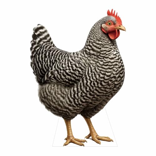Hen Cardboard Cutout 2 Feet – Life-Size Realistic Animal Standee for Parties, Events & Classroom Displays, Style 2