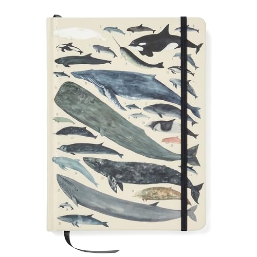 Journal non daté High Note Orders of the Animals carnet de notes illustré faune sauvage