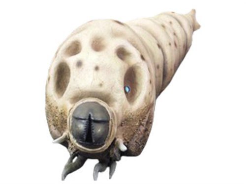 Amazon.co.jp: 東宝30cmシリーズ 第9弾 モスラ幼虫 (PVC塗装済み完成品