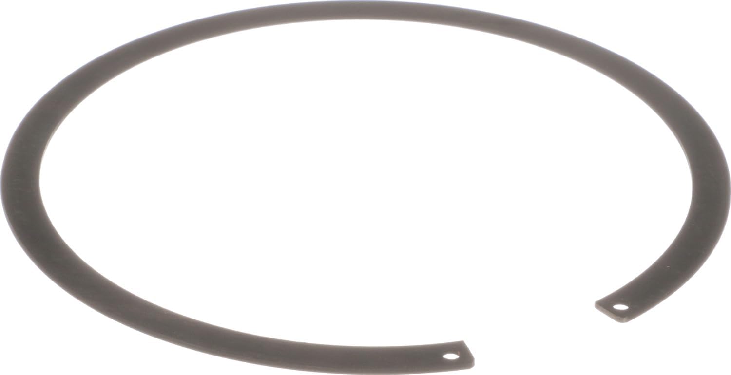 Delphi FA10022 Fuel Tank Lock Ring