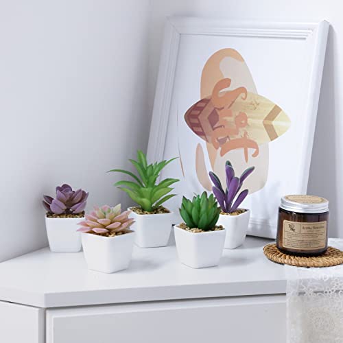 Cewor 9Pcs Artificial Succulent Plants In Pots, Faux Succulents Small Potted Fake Plants With Plastic Pots For Office Home Desk Shelves Bedroom Decoration #TOP6