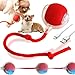 Genérico Juguete Interactivo para Gatos Perros, New Pelota Interactiva para Perros, Juguetes Resistentes para Perros, Juguetes para Gatos, Juguetes Interactivos Inteligentes para Perros (Red)